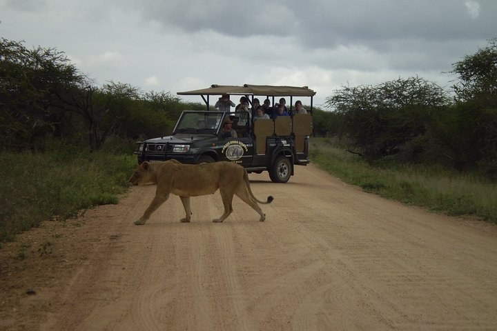 Fullday Gamedrives in Kruger National Park from Marlothpark - Photo 1 of 25